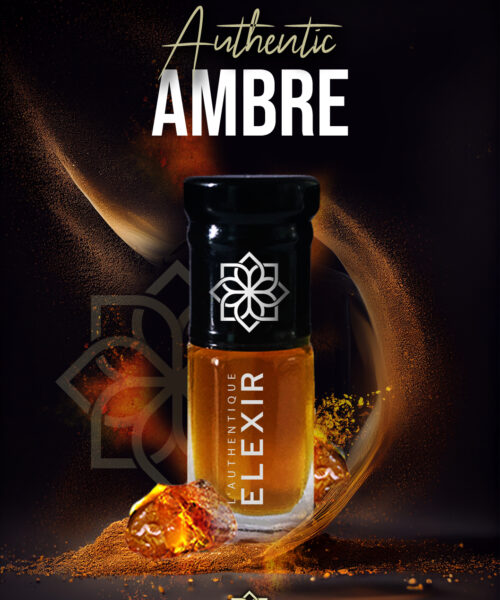 L'ambre résine